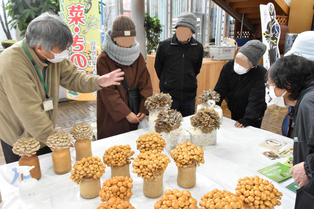山形県きのこ品評会