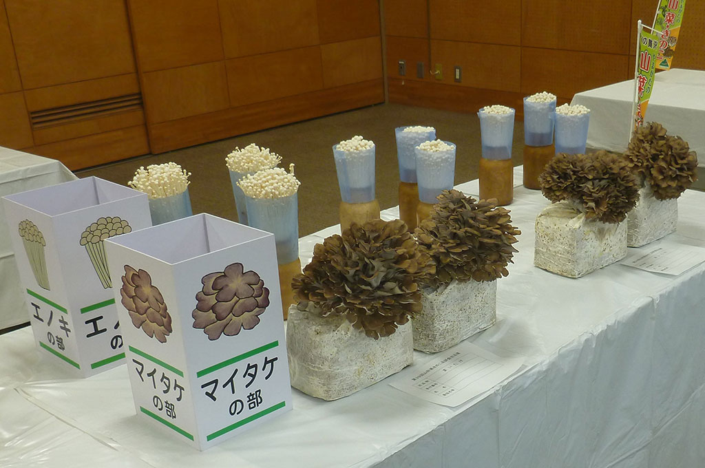 山形県きのこ品評会