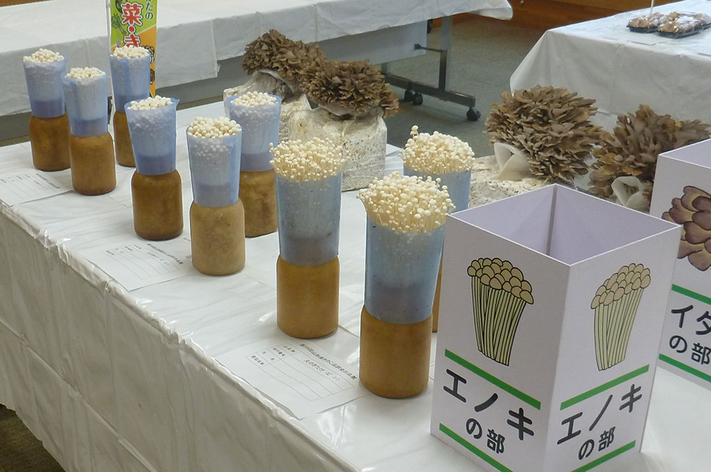山形県きのこ品評会