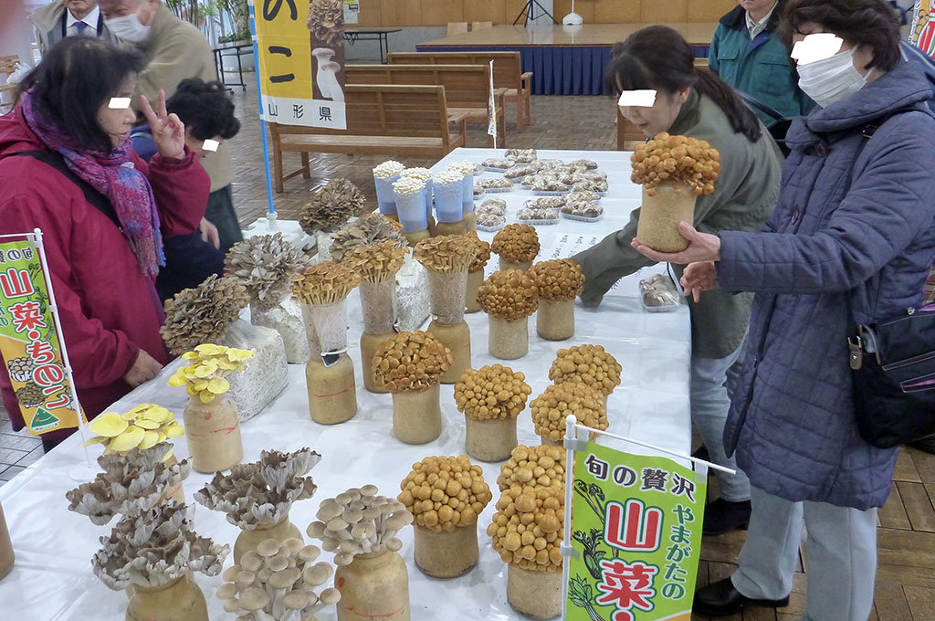 山形県きのこ品評会
