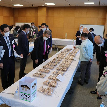きのこ品評会の開催