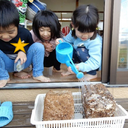 きのこインターンシップ事業