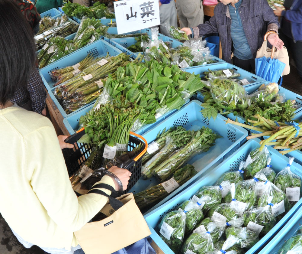 販売店・取扱店