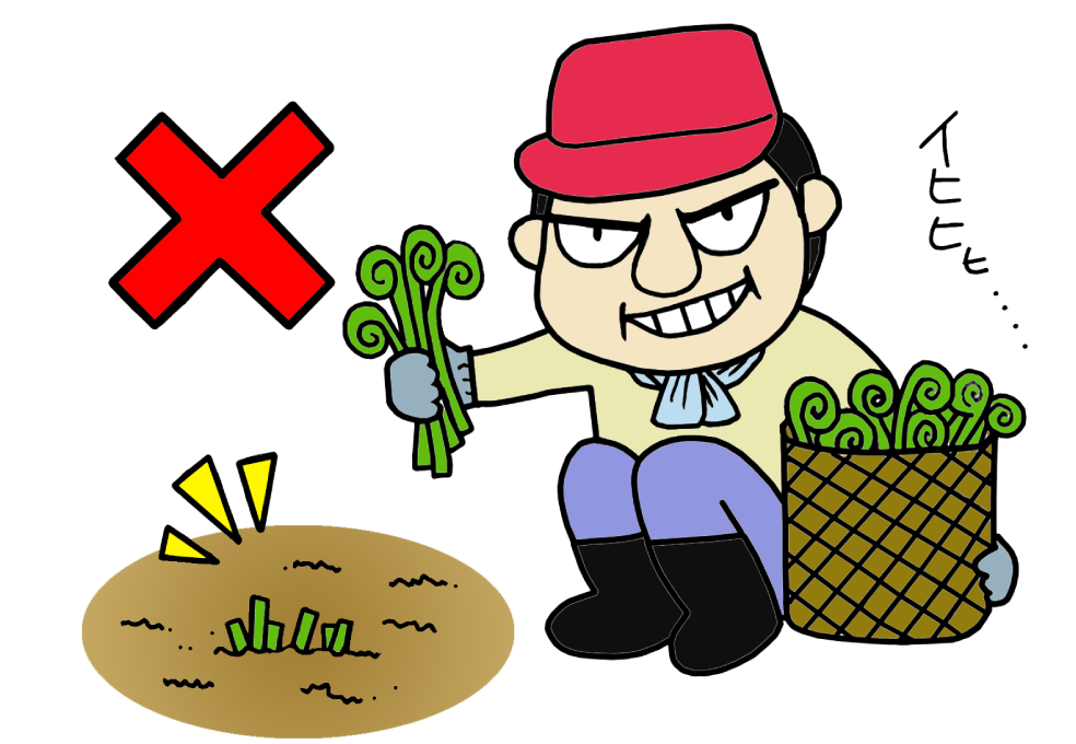 山菜は根こそぎ採らないこと