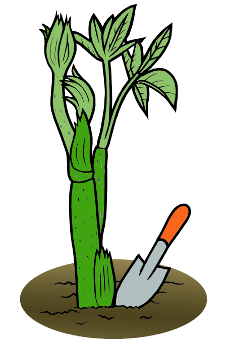 採取禁止場所では採らないこと