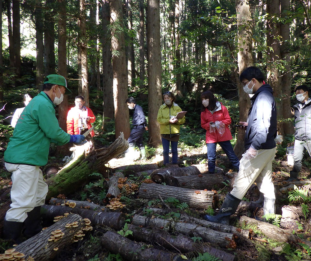 関連団体のご紹介