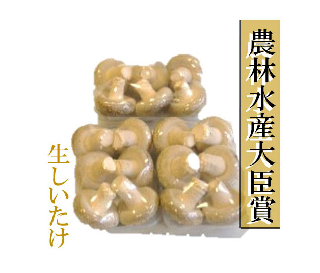 生しいたけ