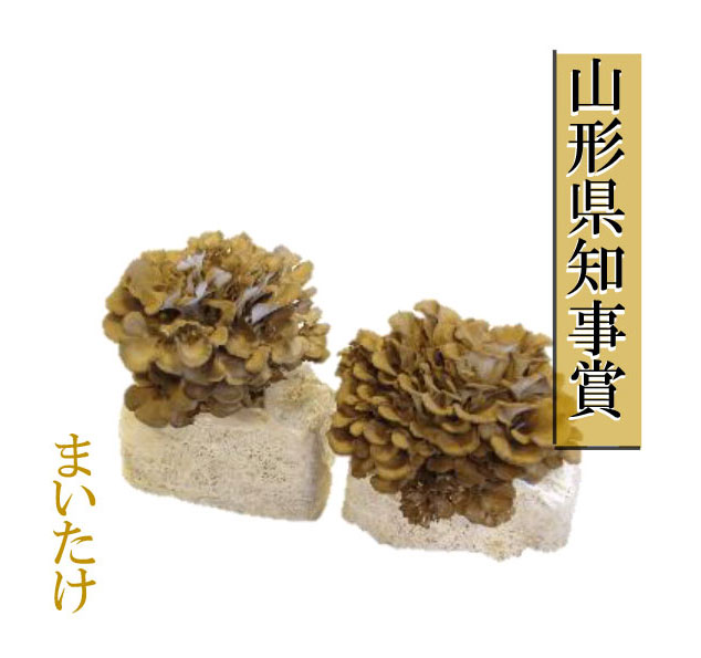 まいたけ