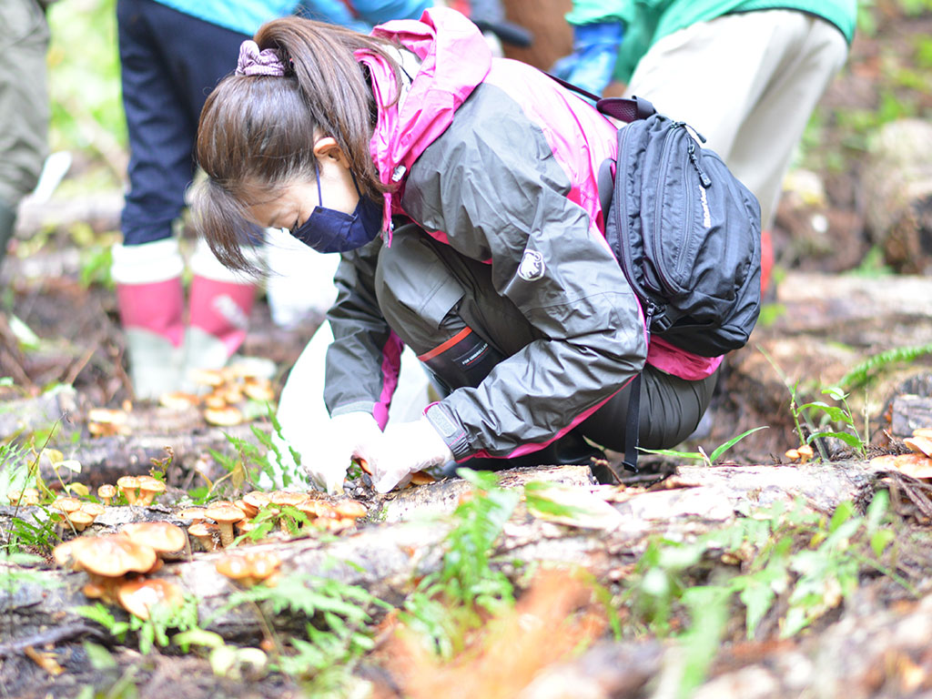 原木ナメコ魅力体験活動