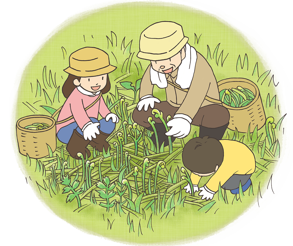 やまがた山菜ものがたり